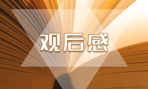 《长征》小学生观后感精选5篇2021